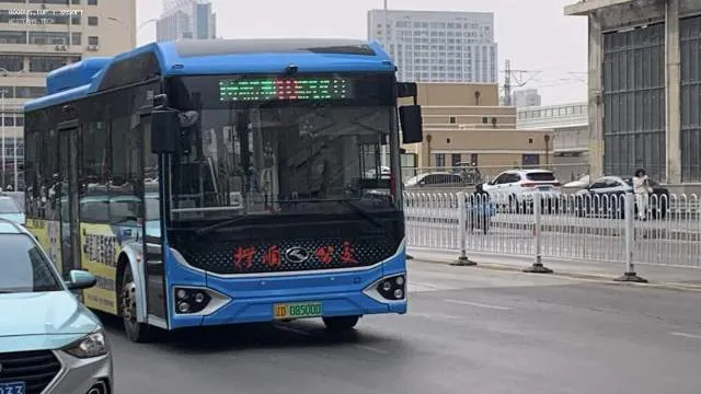 800BUS