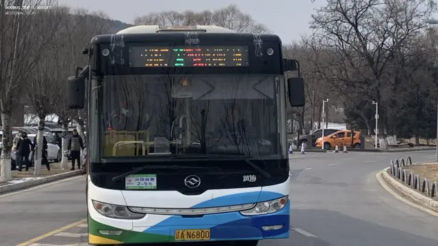 800BUS