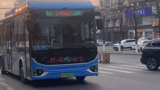 800BUS