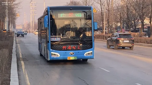 800BUS