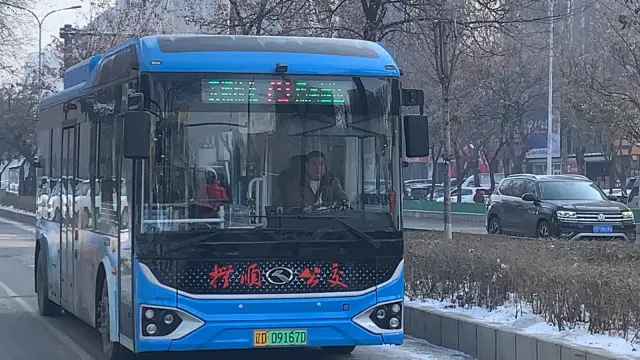 800BUS