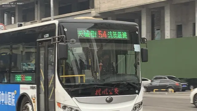 800BUS
