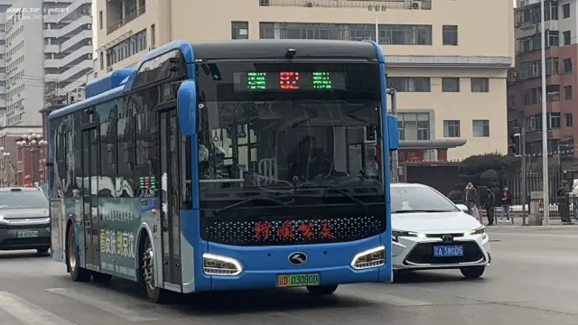 800BUS