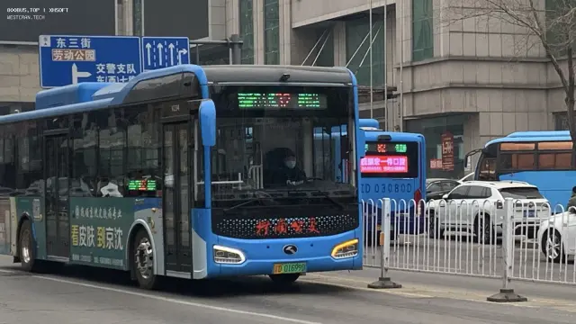 800BUS