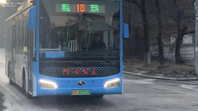 800BUS