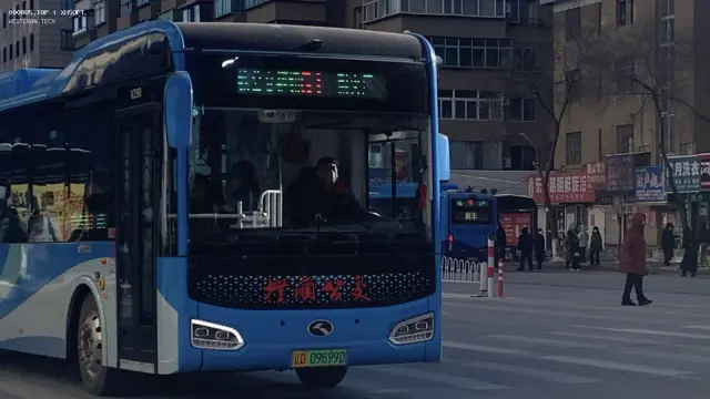 800BUS