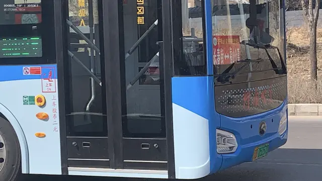 800BUS