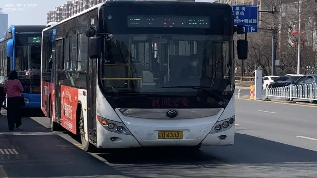 800BUS