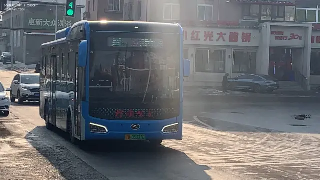 800BUS