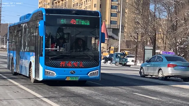 800BUS