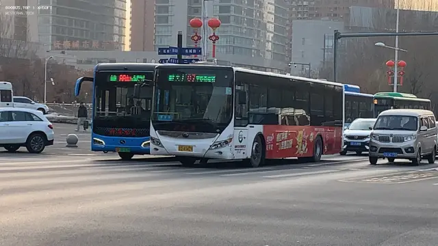 800BUS