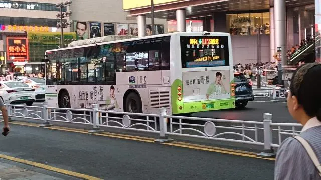 800BUS