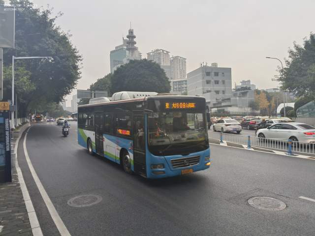 800BUS
