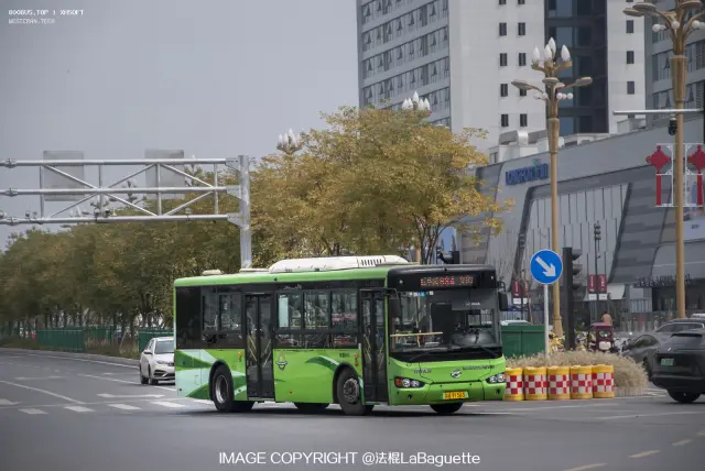 800BUS