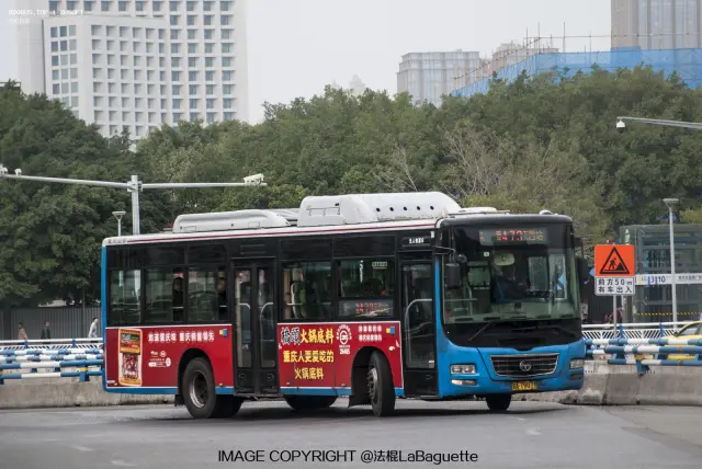 800BUS