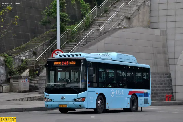 800BUS