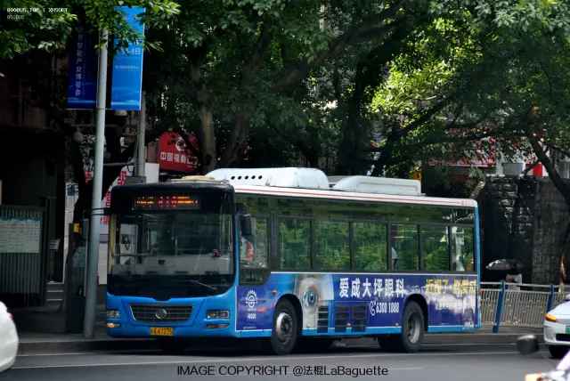 800BUS