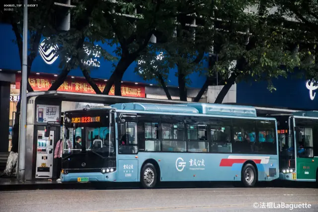 800BUS