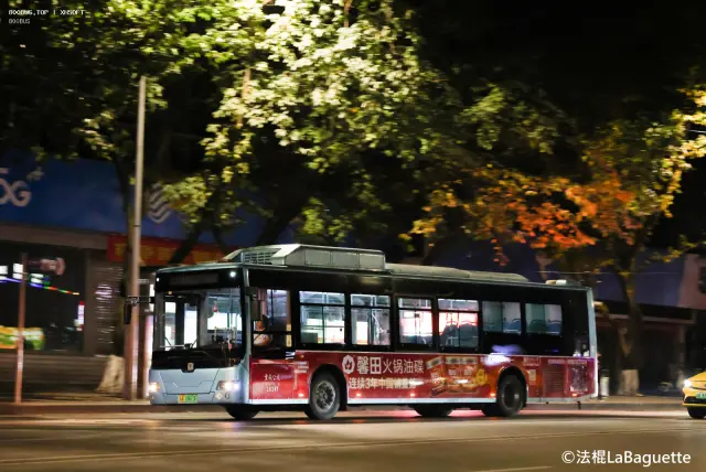 800BUS