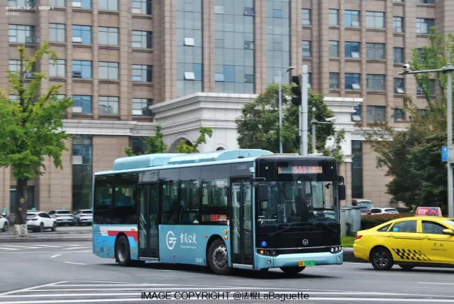 800BUS