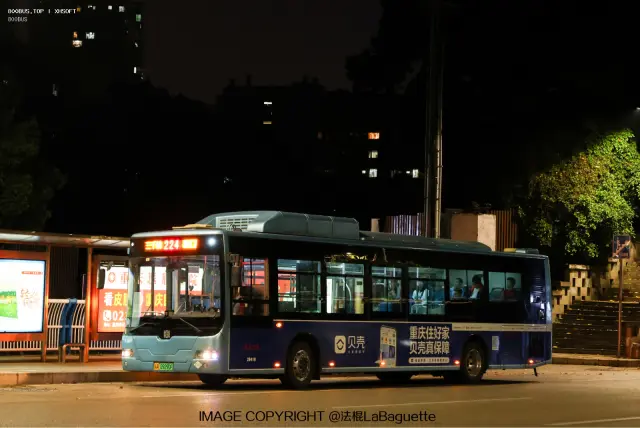 800BUS