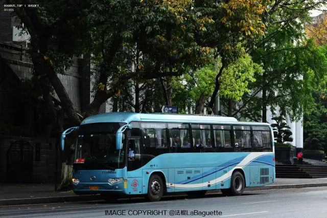 800BUS