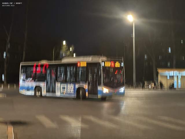 800BUS