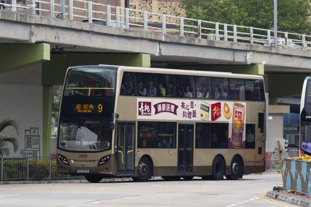 800BUS