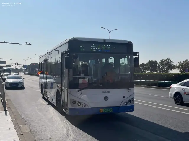 800BUS