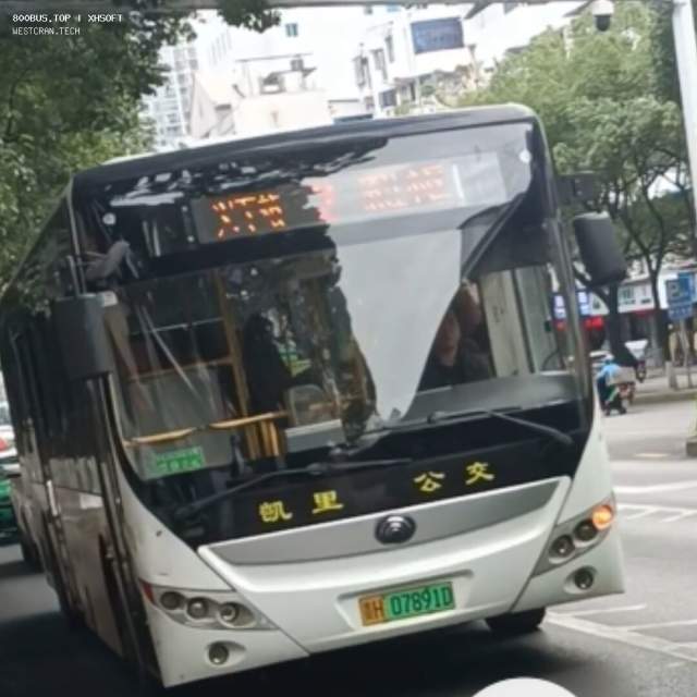 800BUS