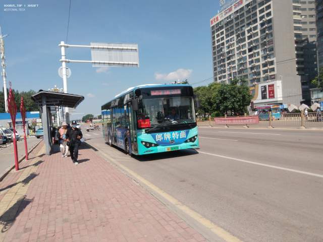 800BUS