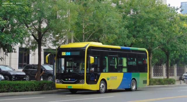 800BUS