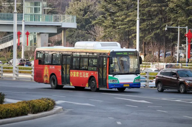 800BUS