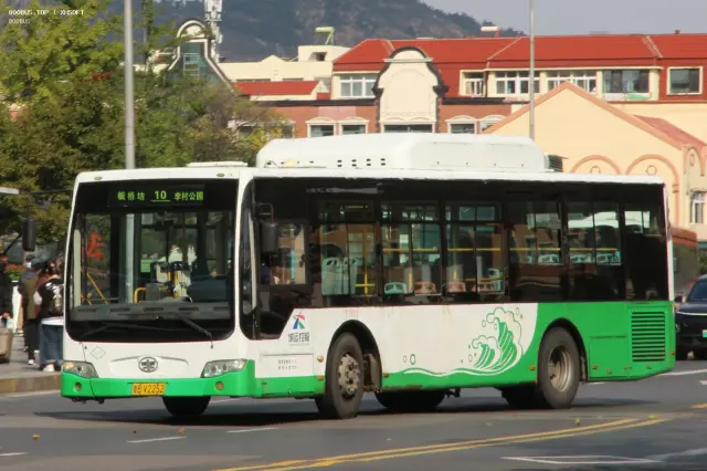 800BUS