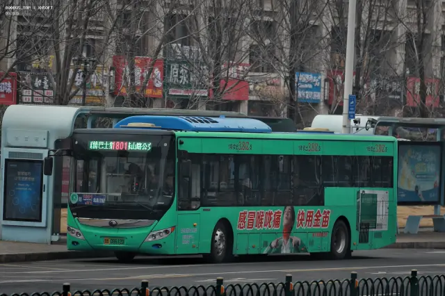 800BUS