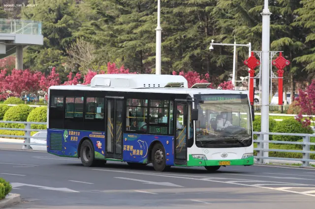 800BUS