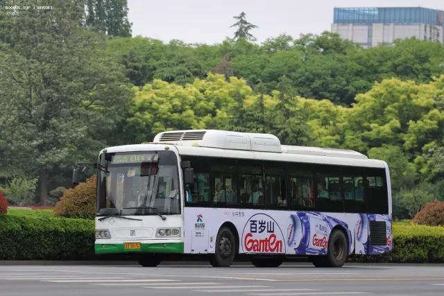 800BUS