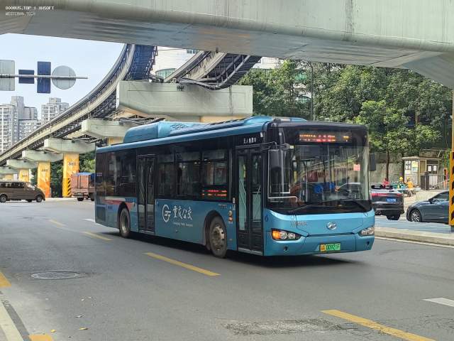 800BUS