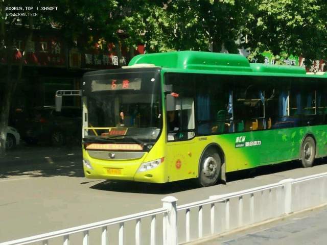 800BUS