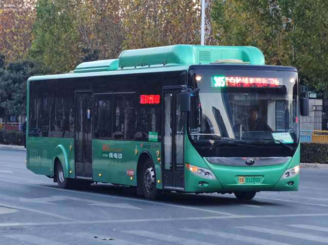 800BUS