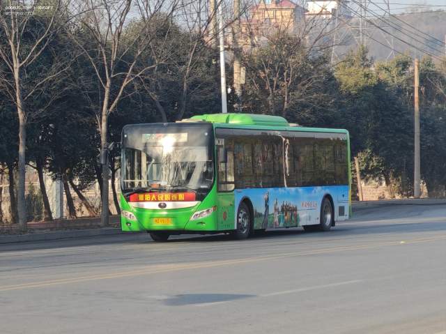 800BUS