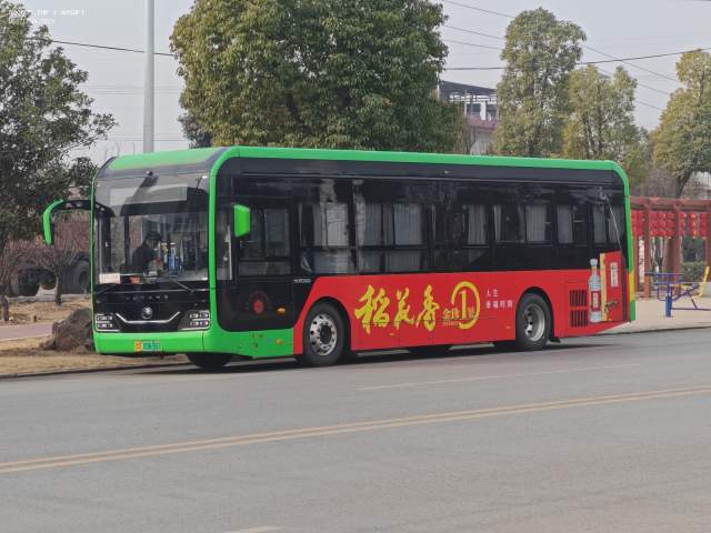 800BUS