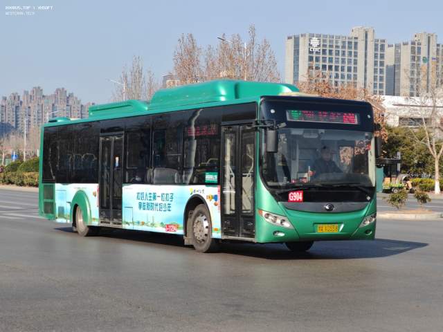 800BUS