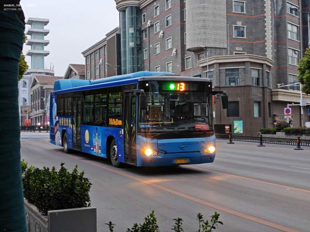 800BUS