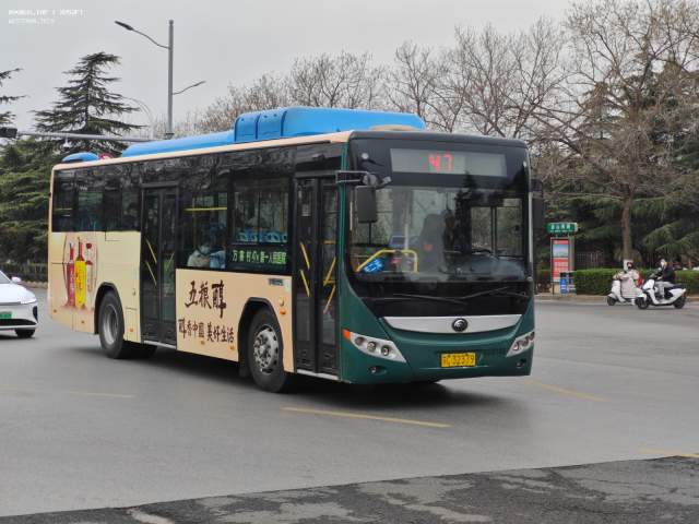 800BUS