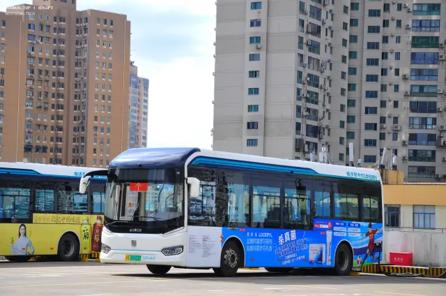 800BUS