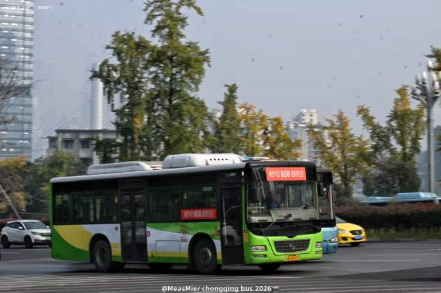 800BUS