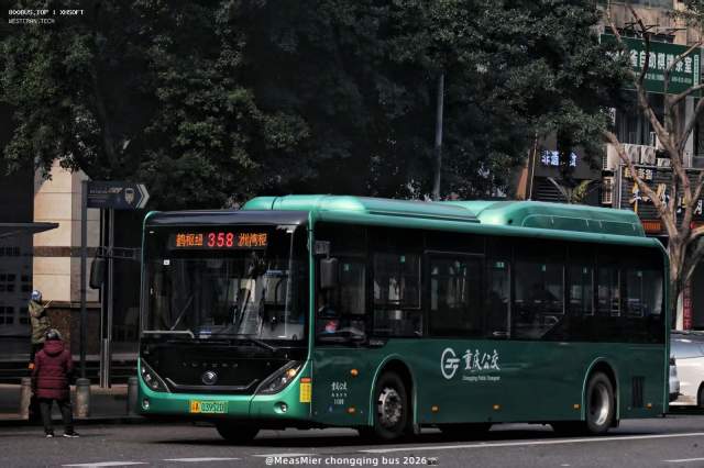 800BUS