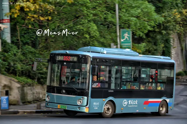 800BUS