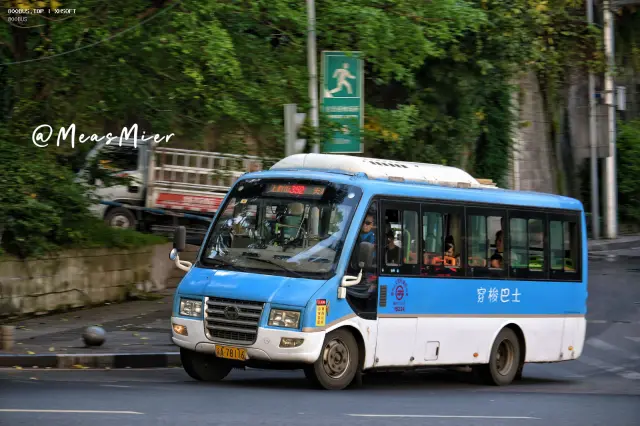 800BUS